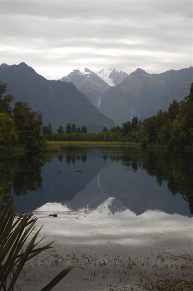 LAKE MATHESON - MIRROR LAKE - NEW ZEALAND