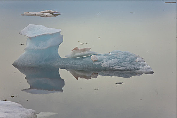 IMG_0156Wood 2 - SVALBARD 2013