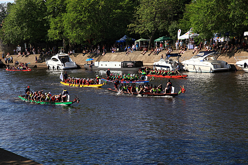 IMG_3613 - DRAGON BOAT RACE 2017
