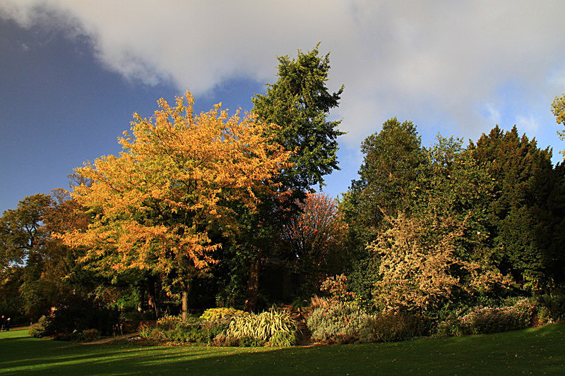 OCTOBER 2015-3 - FOUR SEASONS MUSEUM GARDENS
