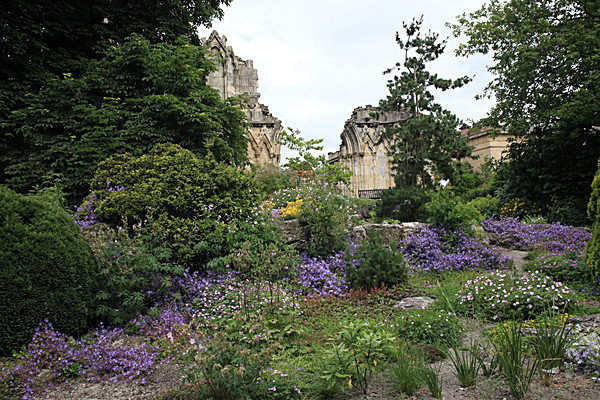 IMG_7541 - MUSEUM GARDENS