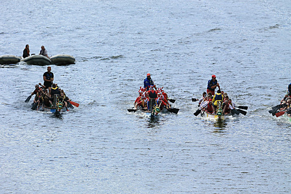 IMGL7004 - DRAGON BOAT RACE 2014 York Rotary Club