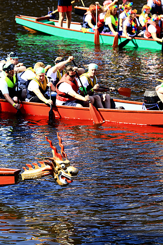 BV6R4470 - DRAGON BOAT RACE 2017