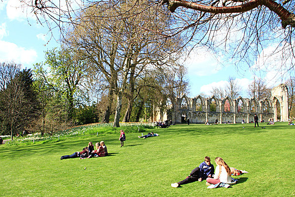 IMG_3281 - MUSEUM GARDENS