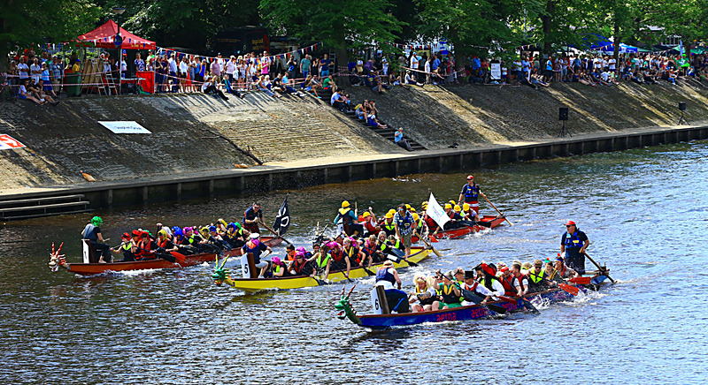 BV6R4435 - DRAGON BOAT RACE 2017