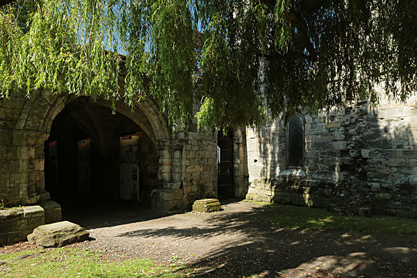 IMGL7823 - MUSEUM GARDENS