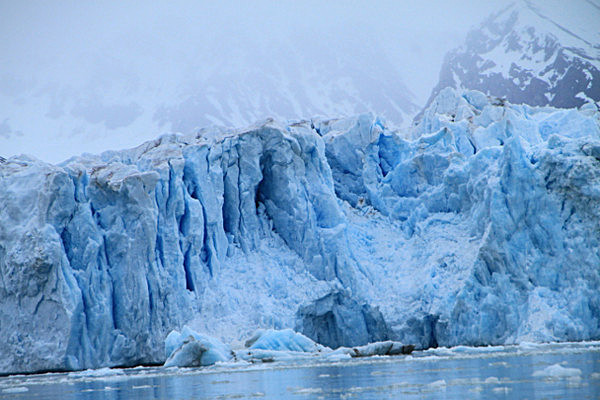 IMG_7771 - SVALBARD 2013