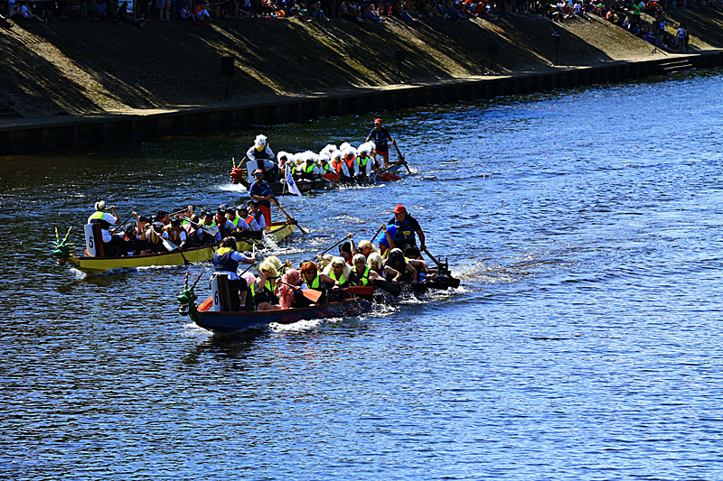 BV6R4450 - DRAGON BOAT RACE 2017