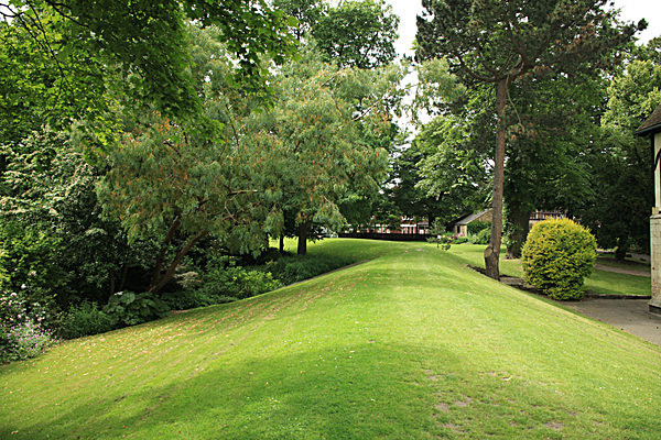 IMG_7585 - MUSEUM GARDENS