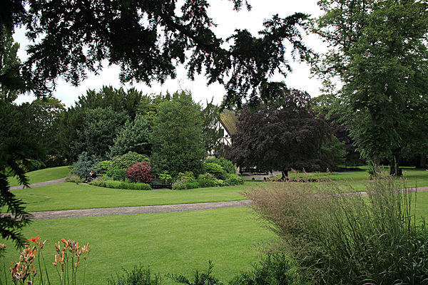 IMG_7531 - MUSEUM GARDENS