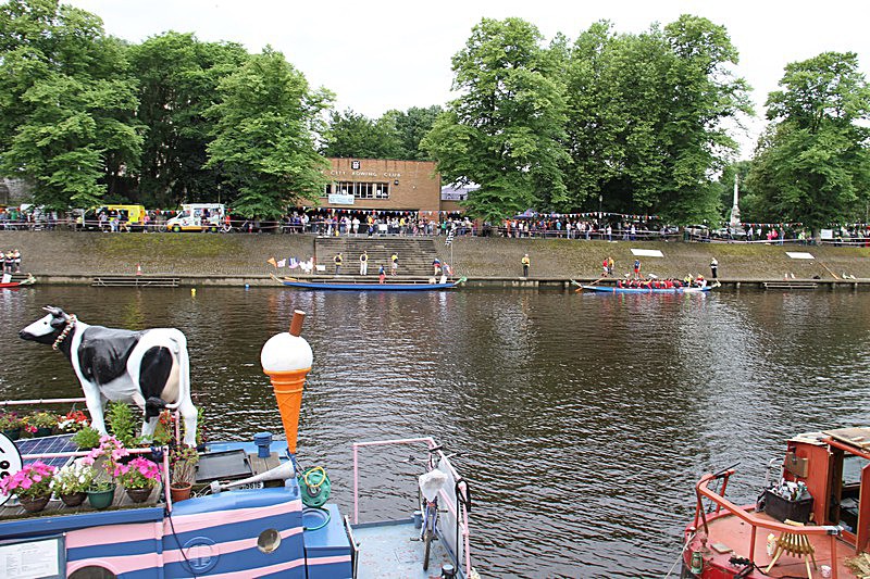 DRAGON BOAT RACE 10 July 2016 - 110 of 549 - DRAGON BOAT RACES 2016 York Rotary Club