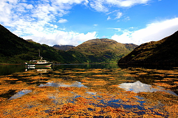 20100827_0204_2 - SCOTLAND 2010