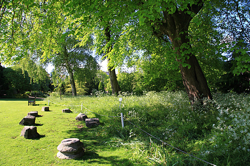 JUNE 2015 -3 - FOUR SEASONS MUSEUM GARDENS
