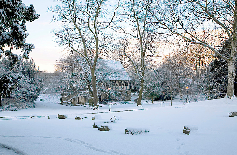 DECEMBER 2009 - FOUR SEASONS MUSEUM GARDENS