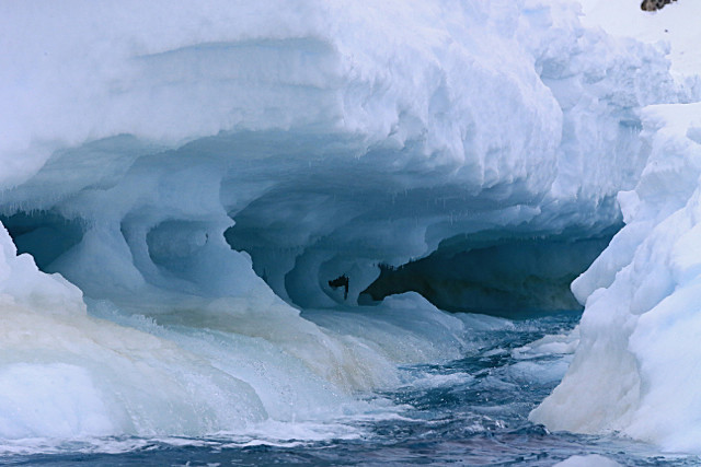  - ANTARCTICA NOV 2014
