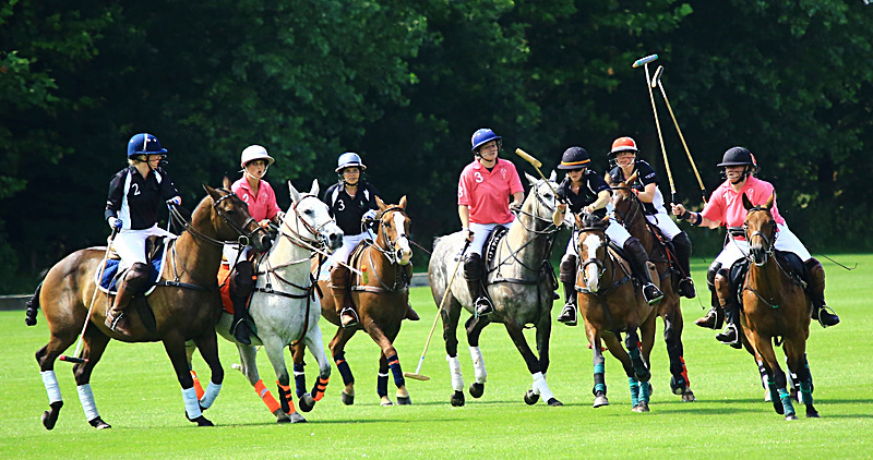 BV6R6755 - WHITE ROSE POLO CLUB LADIES DAY
