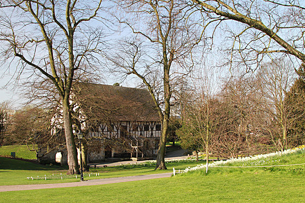 5717237 - MUSEUM GARDENS
