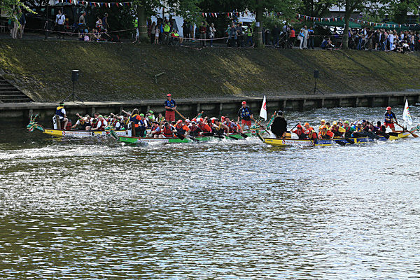 IMGL6970 - DRAGON BOAT RACE 2014 York Rotary Club