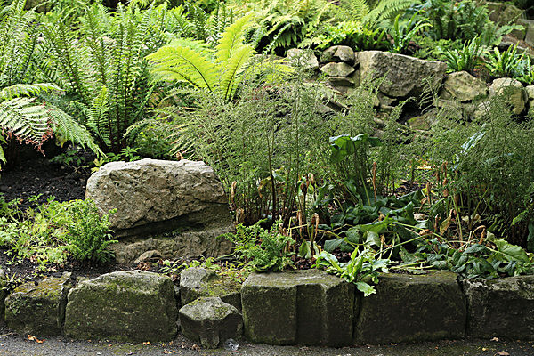 IMGL5673 - MUSEUM GARDENS