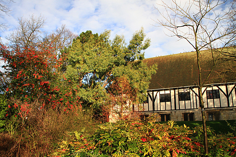 DECEMBER  2014  - FOUR SEASONS MUSEUM GARDENS