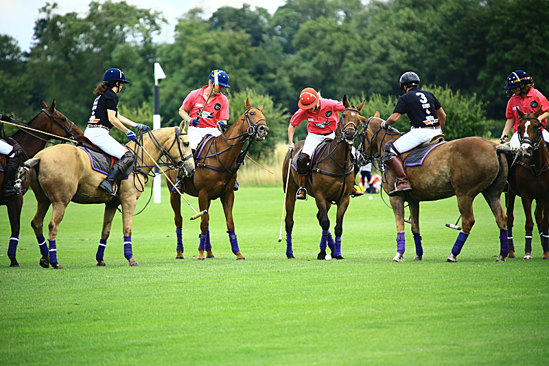 BV6R6782 - WHITE ROSE POLO CLUB LADIES DAY