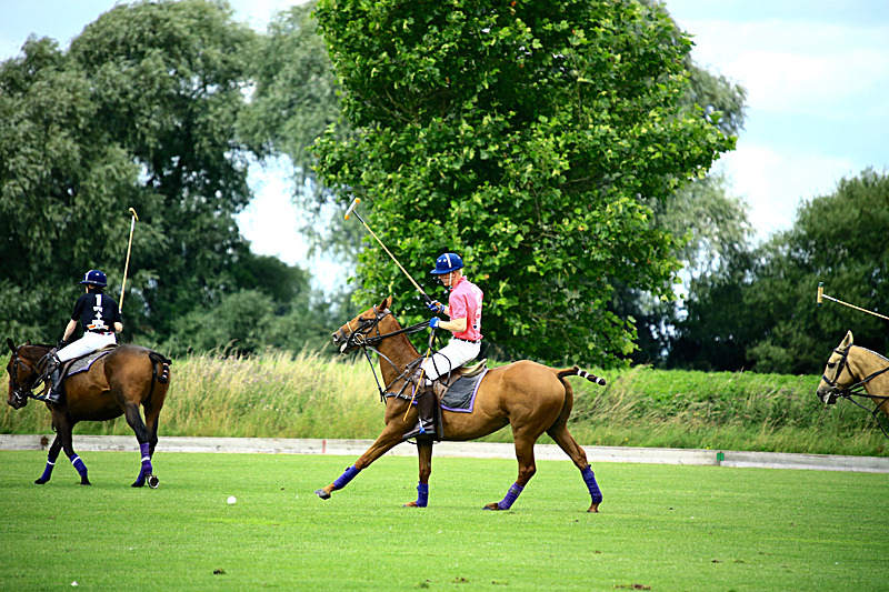 BV6R6799 - WHITE ROSE POLO CLUB LADIES DAY
