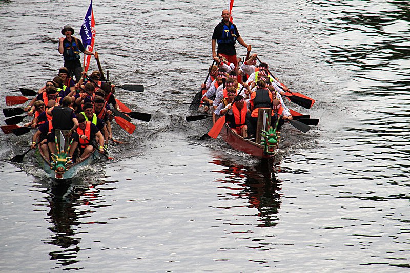 DRAGON BOAT RACE 10 July 2016 - 140 of 549 - DRAGON BOAT RACES 2016 York Rotary Club