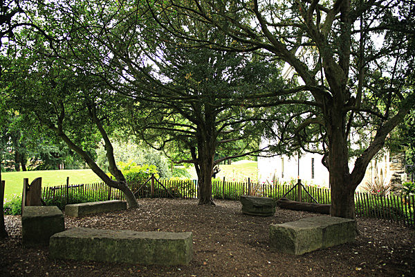 IMG_7625 - MUSEUM GARDENS