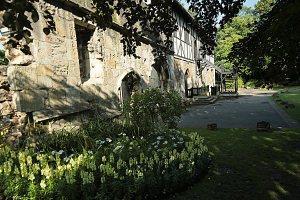 IMGL7689 - MUSEUM GARDENS
