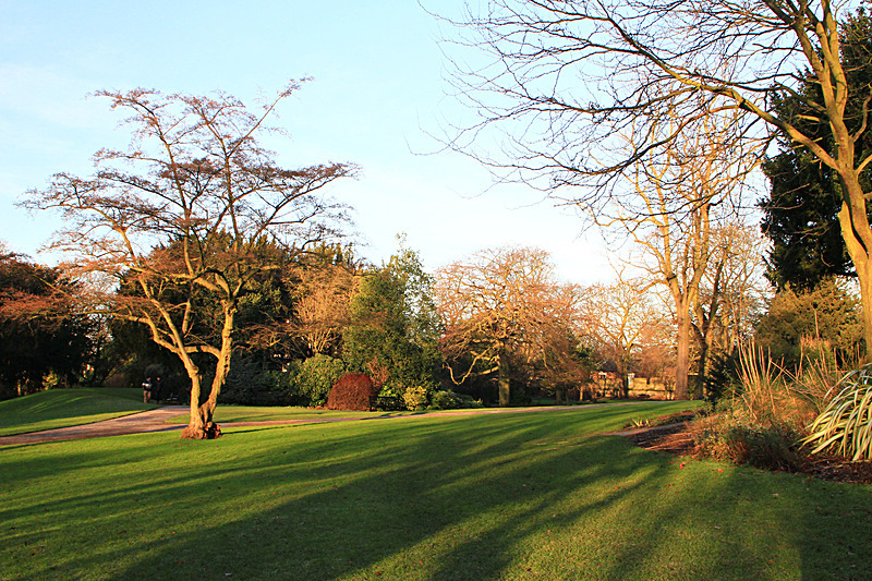 JANUARY  2015  -2 - FOUR SEASONS MUSEUM GARDENS