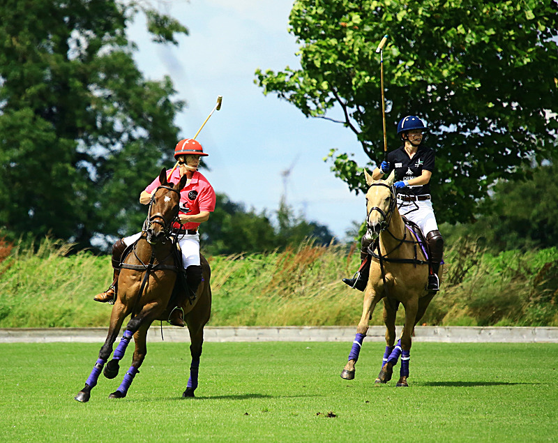 BV6R6774 1 - WHITE ROSE POLO CLUB LADIES DAY