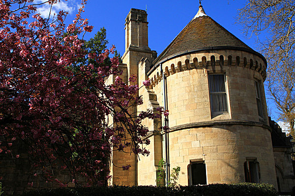 IMG_3268 - MUSEUM GARDENS