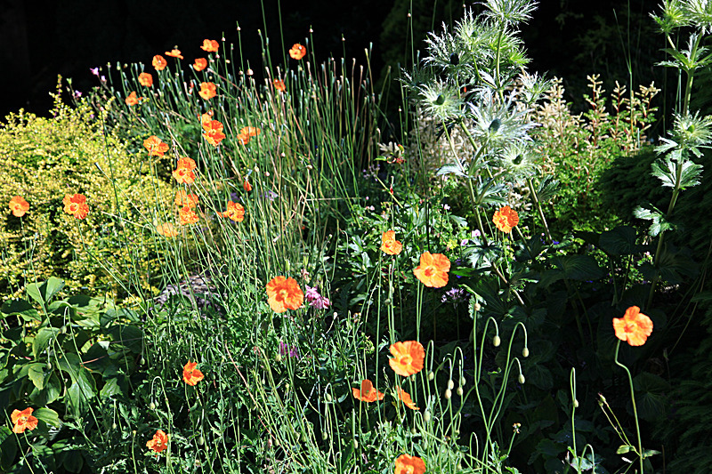 JUNE 2015-19 - FOUR SEASONS MUSEUM GARDENS