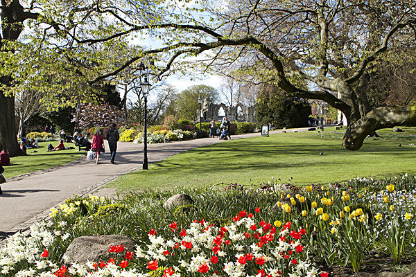 IMG_3272 - MUSEUM GARDENS
