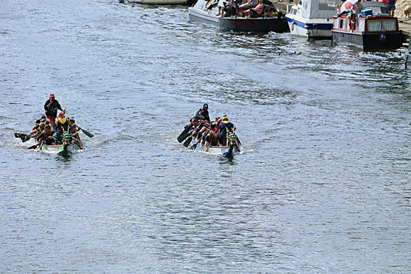 IMGL7001 - DRAGON BOAT RACE 2014 York Rotary Club