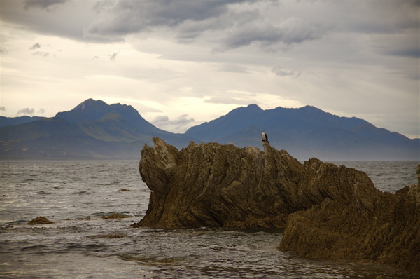 KAIKURA - NEW ZEALAND