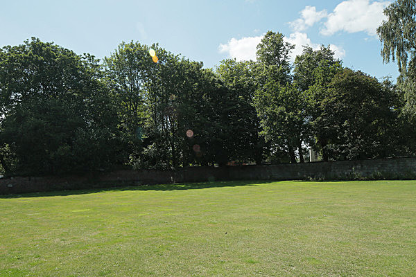 IMGL7895 - MUSEUM GARDENS