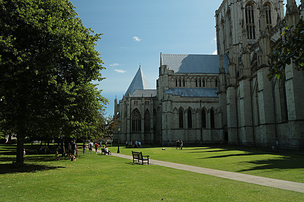 IMGL7917 - MUSEUM GARDENS