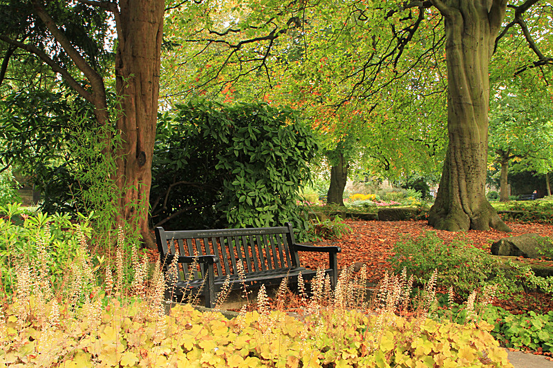 OCTOBER 2014-6 - FOUR SEASONS MUSEUM GARDENS