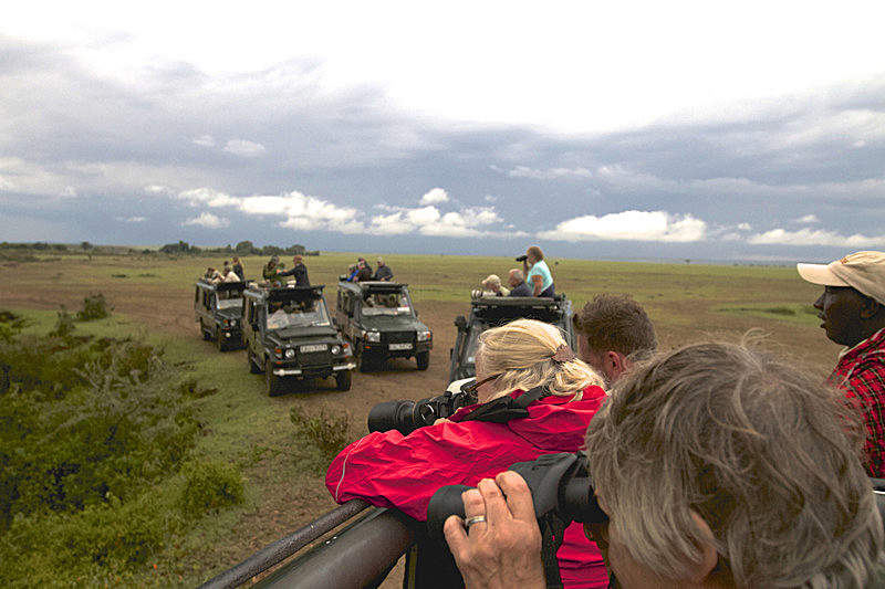  - MASAI MARA, KENYA  OCT 2014