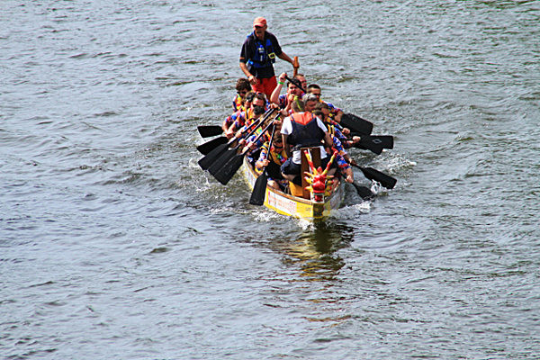 IMG_9163 - DRAGON BOAT RACE 2013 York Rotary Club