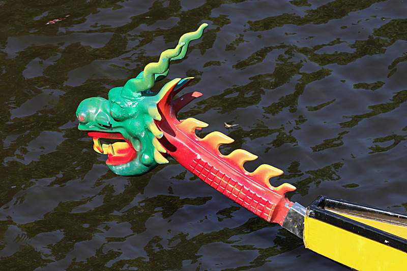 THE YORK ROTARY DRAGON BOAT CHALLENGE 2026 - 68 of 426 - DRAGON BOAT RACE 2026. York Rotary Club.