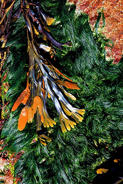 20100826_0177_2 - SCOTLAND 2010