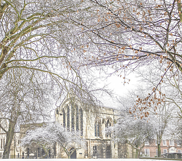 7674 ROBIN IN SNOWY DEANS PARK & YORK MINSTER LIBRARY - YORK AGAINST CANCER CHRISTMAS CARDS CHOICE 2016
