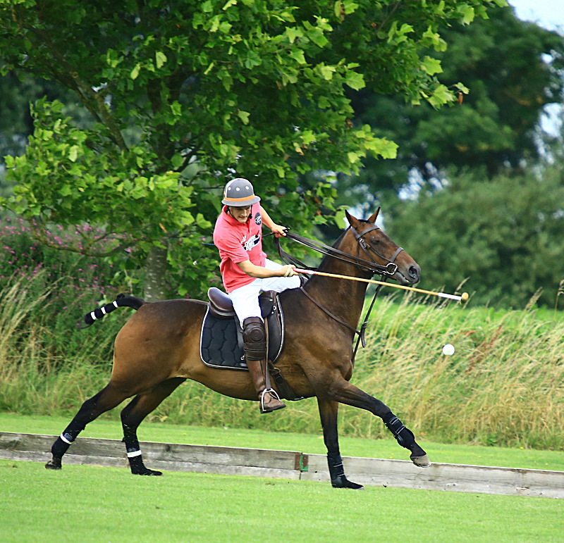 BV6R6823 - WHITE ROSE POLO CLUB LADIES DAY