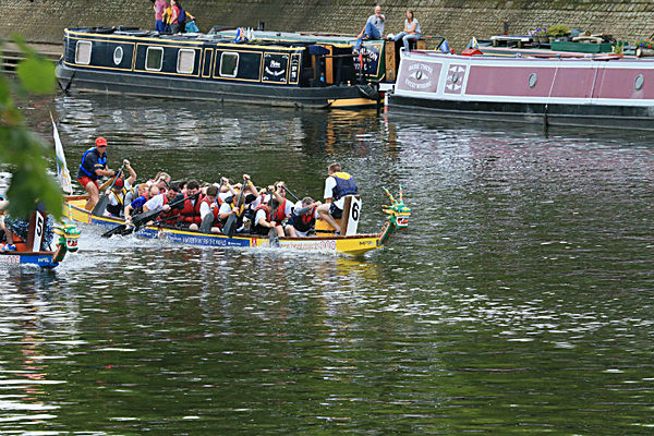 IMGL6569 - DRAGON BOAT RACE 2014 York Rotary Club