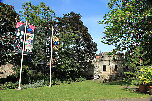 IMG_8106 - MUSEUM GARDENS