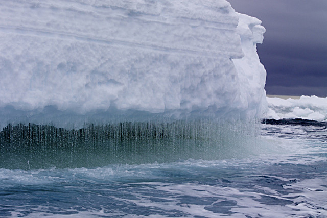  - ANTARCTICA NOV 2014