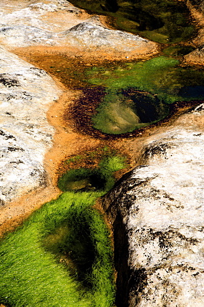 20100826_0189_2 - SCOTLAND 2010
