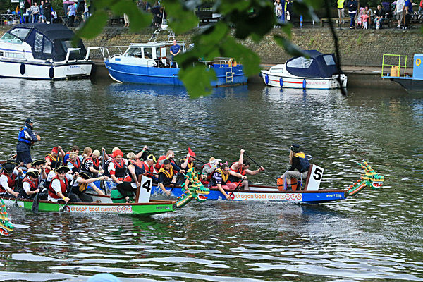 IMGL6275 - DRAGON BOAT RACE 2014 York Rotary Club